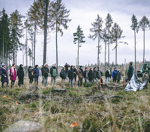 Student group in the forest