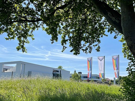 Three rainbow flags fly on the Zittau campus.