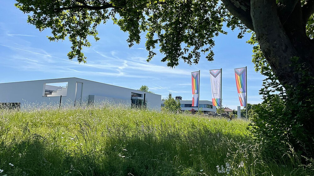 Pride flags on the HSZG's Zittau campus.