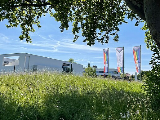 Pride flags on the HSZG's Zittau campus.