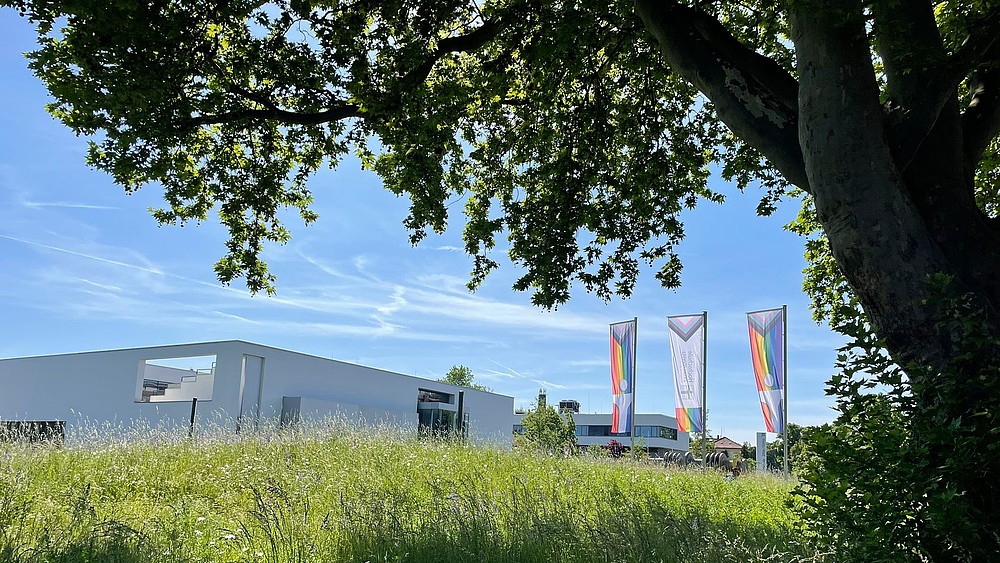 Drei Regenbogenflaggen wehen auf dem Zittauer Campus.